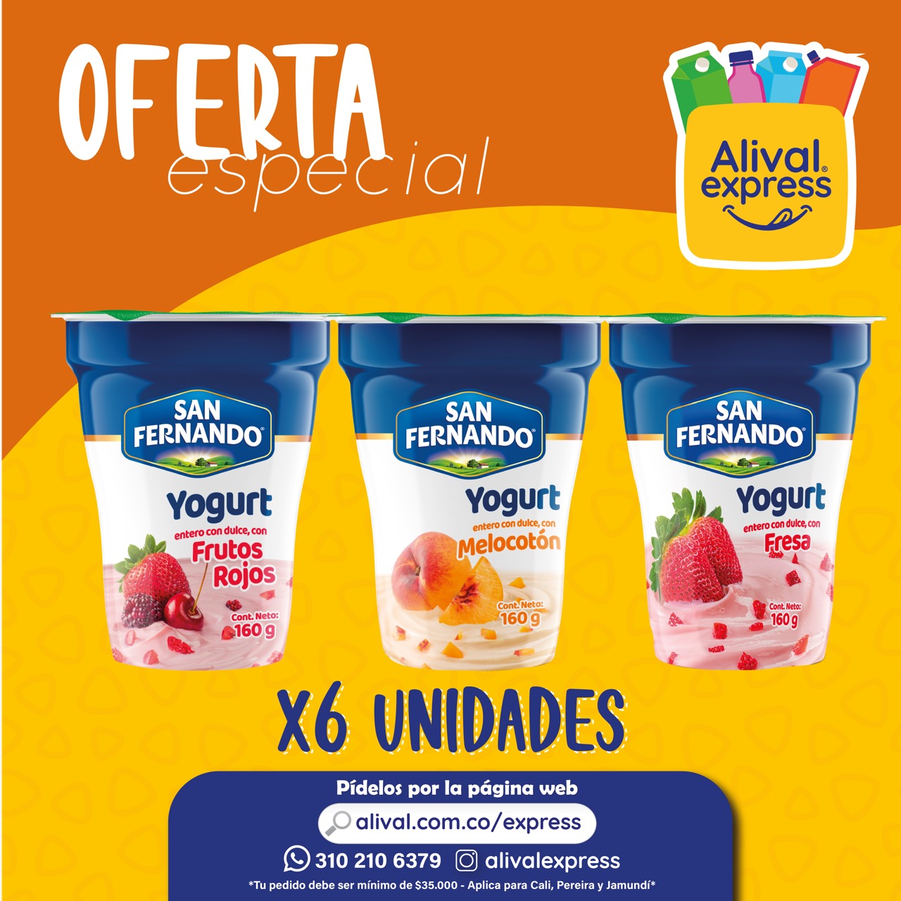 Yogurt Entero San Fernando 160 gr 6 Und Alival Express